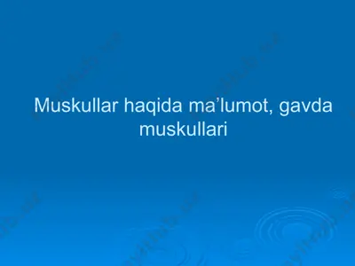 musklar haqida ma'lumot — PPTX