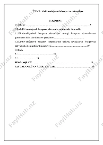 kiritiw-shıǵarıwdı basqarıw sistemaları — DOCX