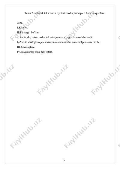 auditorlik tekseriwining rejestratsiya prinsiplari va asoslar — DOCX