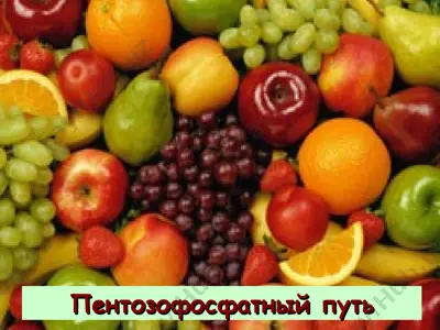 пентозофосфатный путь — PPT