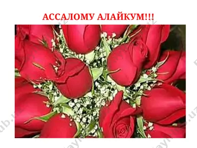 експериментал психология тарихи — PPTX