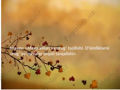 mevaxillar va urug'tuzilishi — PPTX
