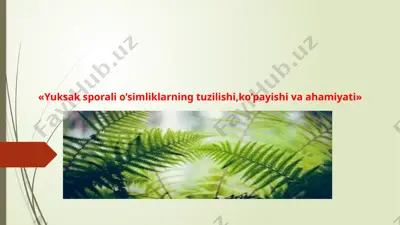 yuksaksporalio’simliklarning tuzilishi, ko’payishi va ahamiyati — PPTX