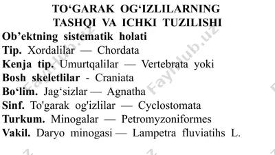 to‘garak  og‘izlilarning  tashqi  va  ichki  tuzilishi — PPTX