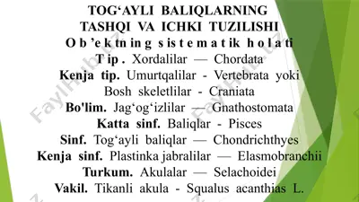 tog‘ayli baliqlarning tashqi va ichki tuzilishi — PPTX