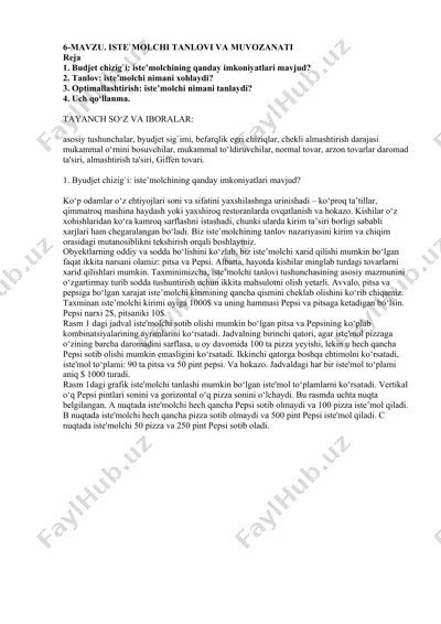 iste’molchi tanlovi va muvozanati — DOCX