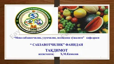 илдизмевали сабзавотлар - тақдимот — PPTX