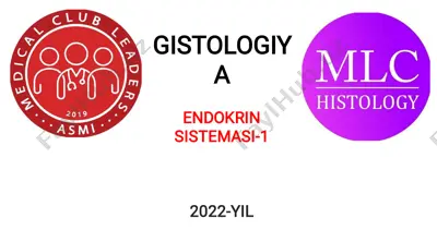 gistologiya va endokrin sistemasining asosiy mavzulari — PDF
