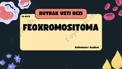 feoxromotsitoma — PDF