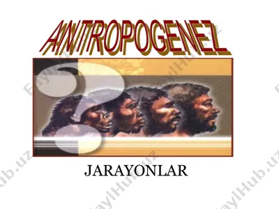 antropogenez — PPT