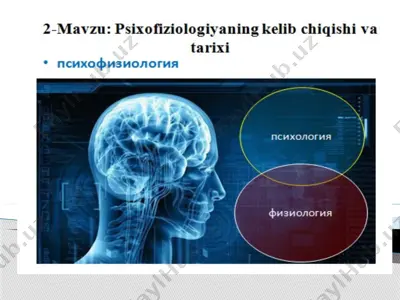 psixofiziologiya — PPTX