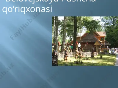 belovejskaya pushcha qo‘riqxonasi — PPTX