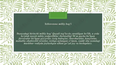 yellowstone milliy bog'i — PPTX
