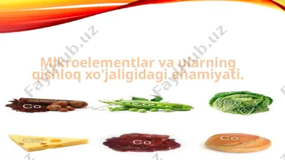 mikroelementlar va ularning qishloq xo'jaligidagi ahamiyati — PPTX