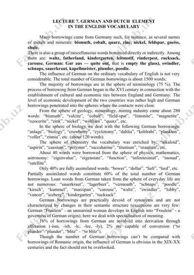 german and dutch element in the english vocabulary — DOCX