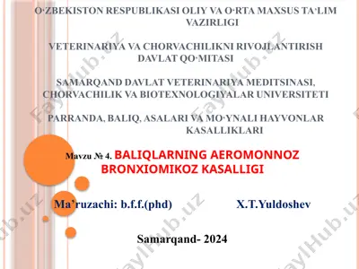 baliqlarninga aeromonnoz bronxiomikoz kasalligi — PPTX