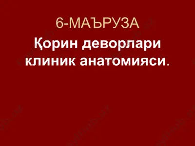 қорин деворлари клиник анатомияси — PPTX