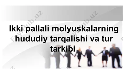 ikki pallali molyuskalarning hududiy tarqalishi va tur tarkibi — PPTX