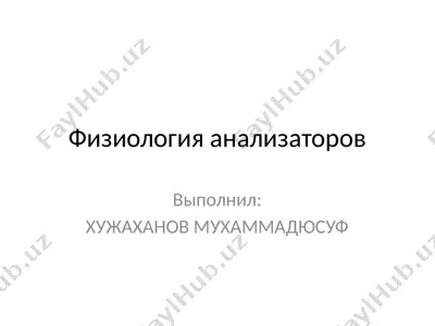физиология анализаторов — PPTX
