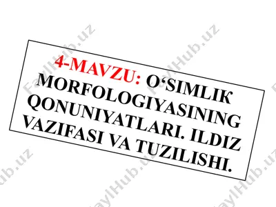 o‘simliklar morfolojiyasining qonuniyatları — PPTX