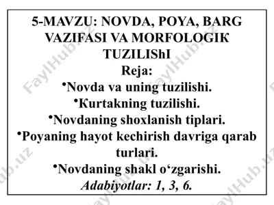 novda, poya, bargvazifasi va morfologiкtuzilishi — PPTX