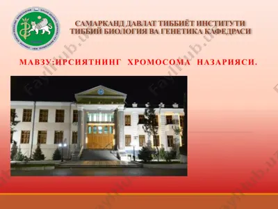 ирсиятнинг хромосома назарияси — PPTX
