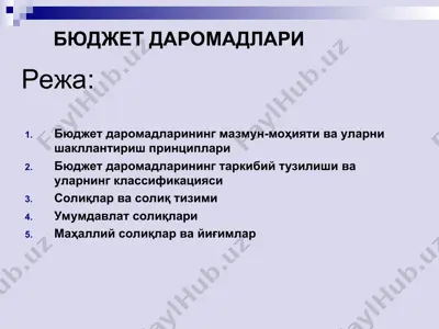bюджет даромадларининг мазмун-моҳияти ва уларни шакллантириш принциплари — PPT