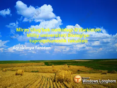 windows longhorn — PPTX