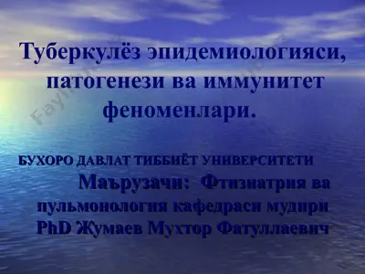 туберкулёз эпидемиологияси, патогенези ва иммунитет феноменлари — PPT