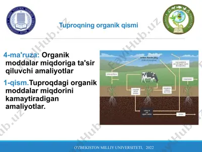 tuproqning organik qismi — PPTX