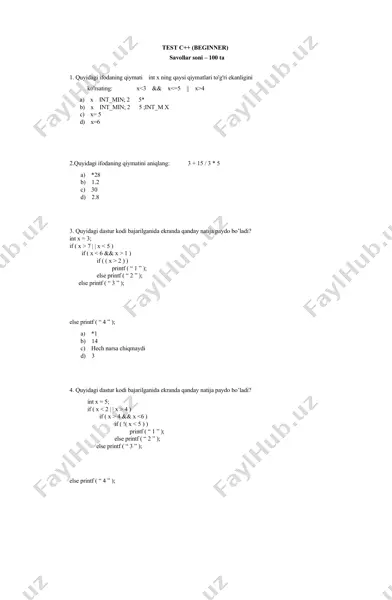test c++ (beginner) — DOCX