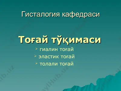 гисталогия кафедраси тоғай тўқимаси — PPT