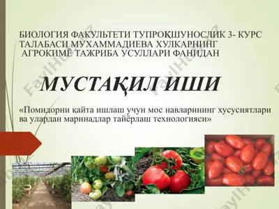 pomidorni qayta ishlash uchun mos navlarining xususiyatlari va ularidan marinadlar tayyorlash texnologiyasi — PPT