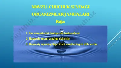 suv resurslarini boshqarish tushunchasi — PDF