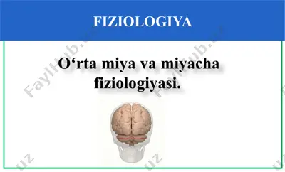 fiziologiya — PPTX