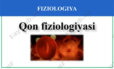 qonfiziologiyasi — PPTX