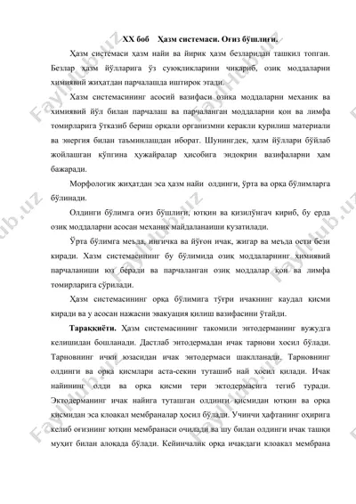 ҳазм системаси. оғиз бўшлиғи. — DOC