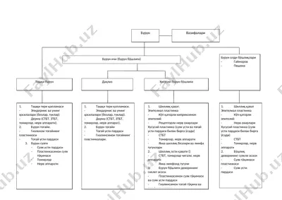 dermatologiyada burun tavsifi — DOC