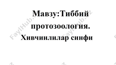 tibbiy protozoologiya — PPTX