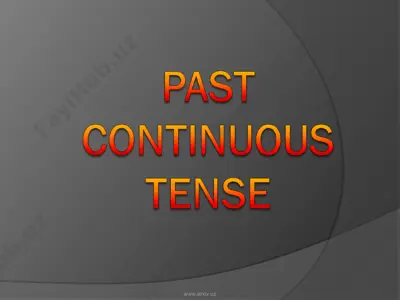 past continuous tense — PPT
