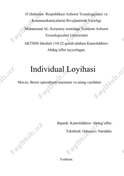 individual loyihasi — DOC