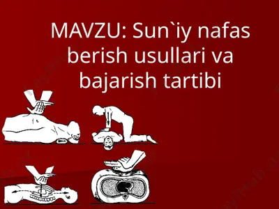 nafas olish mеxanizmi — PPTX