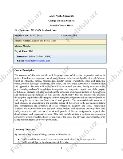 diversity and social work — DOC