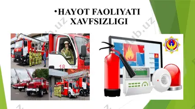 hayot faoliyati xavfsizligi — PPTX