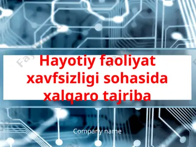 xavfsizlik bo'yicha tashkilotlar uchun xalqaro tajriba — PPTX