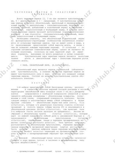 черепные нервы и синдромы поражения — DOC