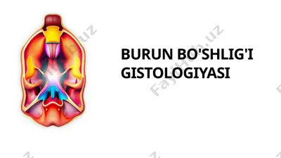 burun bo'shlig'i gistologiyasi — PPTX