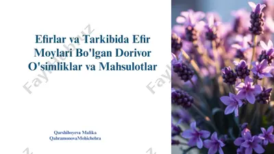 efirlar va tarkibida efir moylari bo'lgan dorivor o'simliklar va mahsulotlar — PPTX