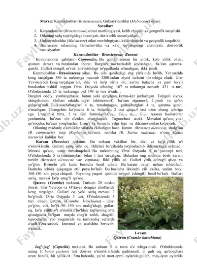 karamdoshlar (brassicaceae) oilasi — DOC