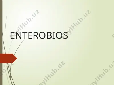 ostritsa , enterebioz — PPTX